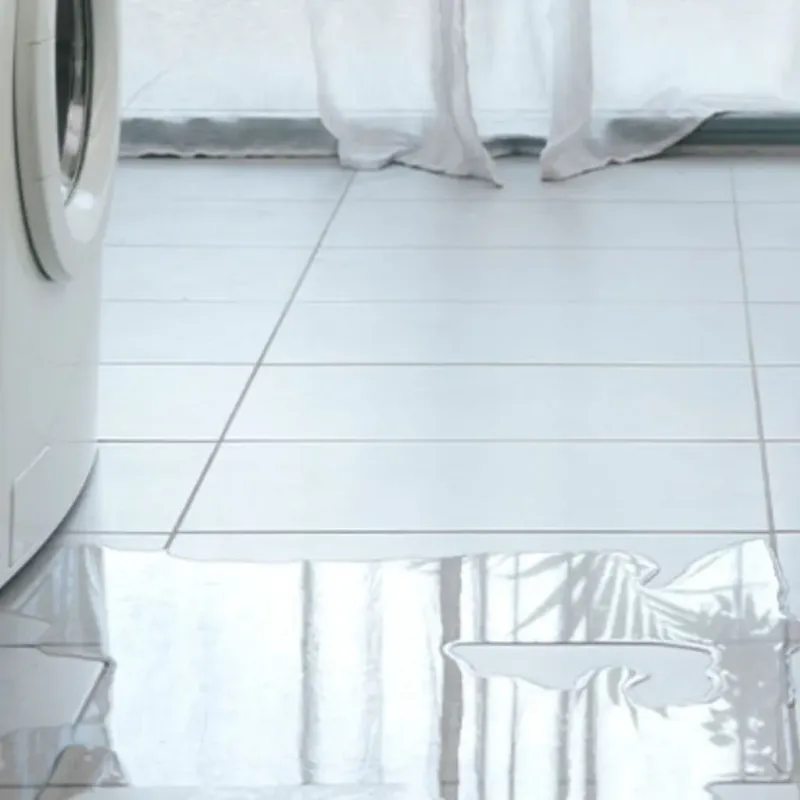 Appliance Leak Cleanup in Craven County, NC