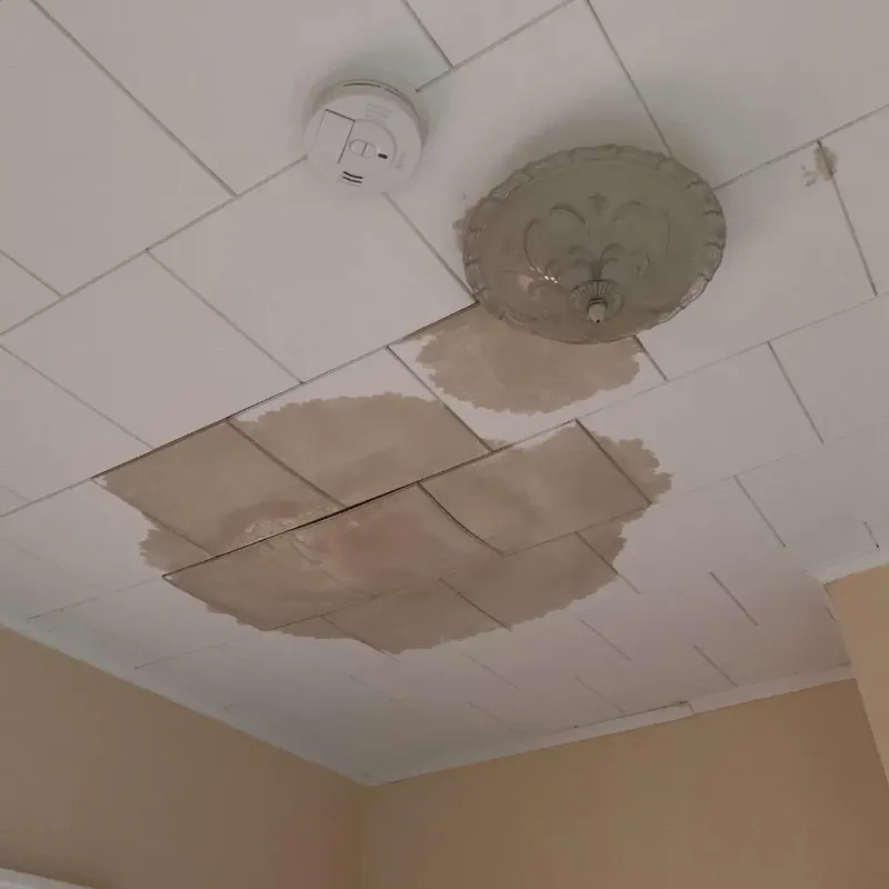 Ceiling Water Damage Repair in Craven County, NC