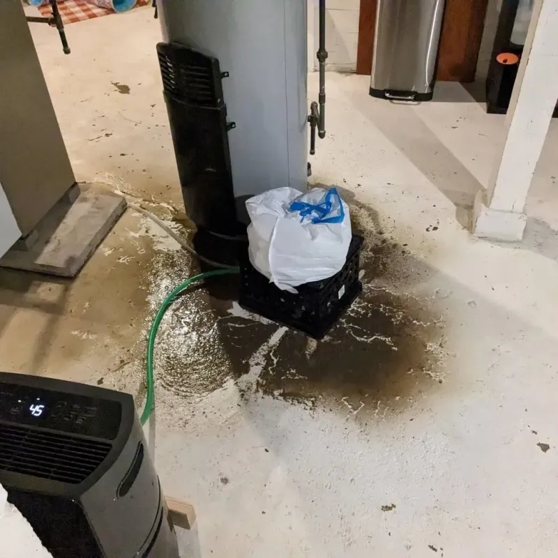 Sewage Backup Cleanup Service in Craven County, NC